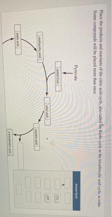 solved-place-the-products-and-reactants-of-the-citric-acid-chegg