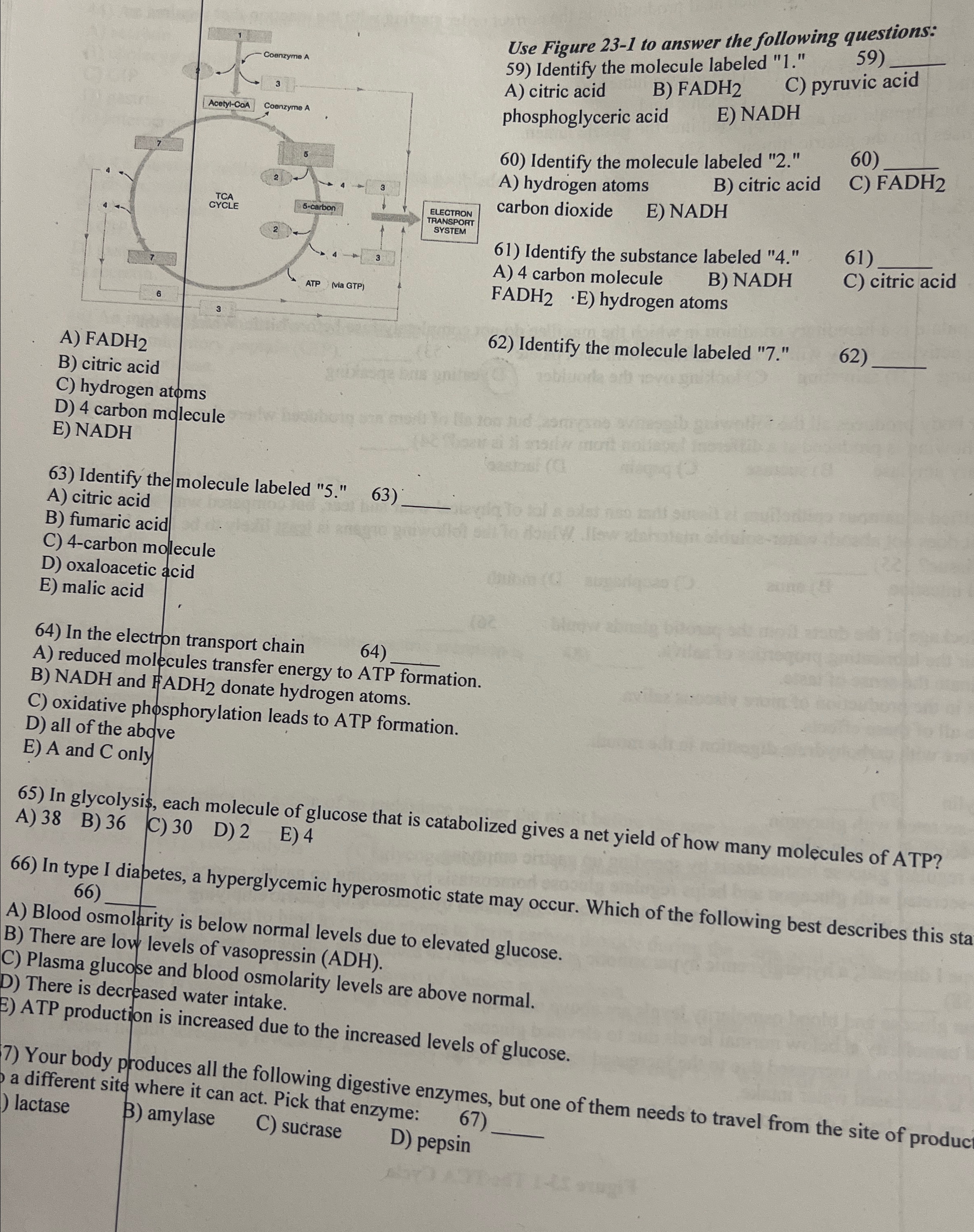Solved Use Figure 23-1 ﻿to answer the following | Chegg.com
