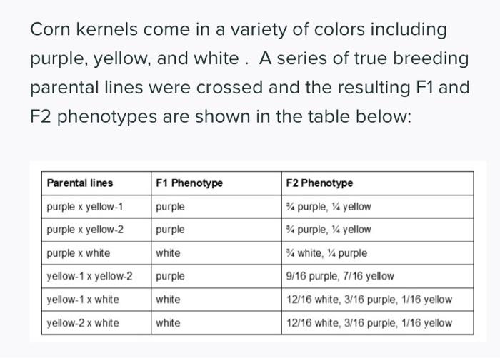 Corn kernels come in a variety of colors including | Chegg.com