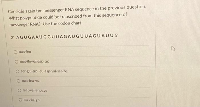 Solved Consider The Following Sequence Of Messenger RNA: | Chegg.com