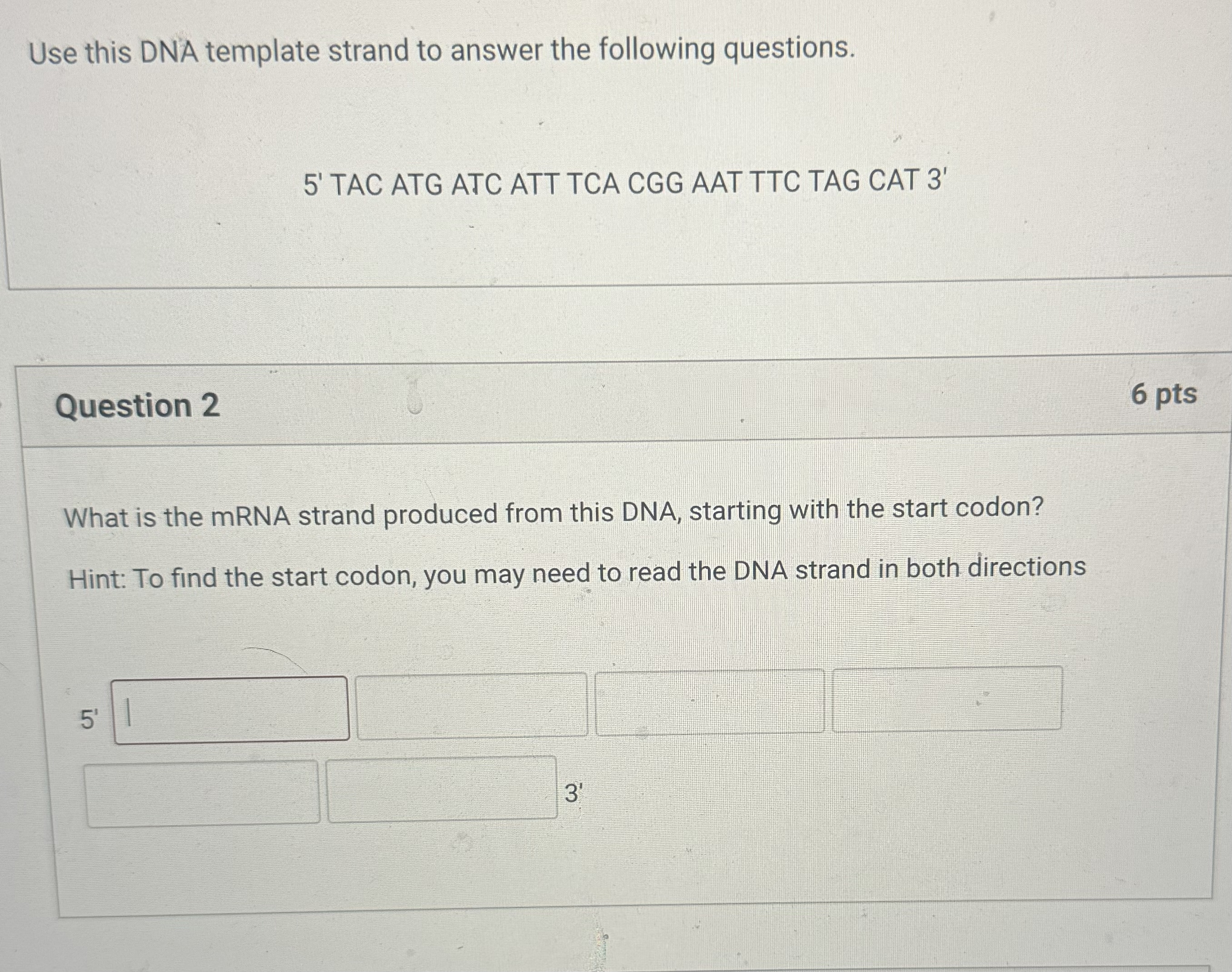 Solved Use this DNA template strand to answer the following | Chegg.com