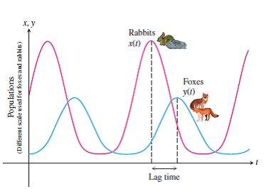 Solved: Using A Procedure Similar To That In The Text For The C ...