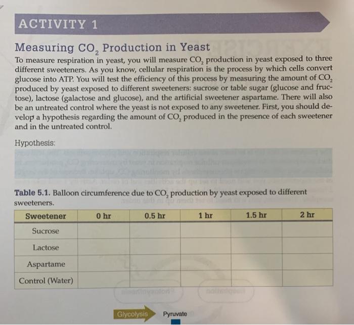 Measuring Yeast