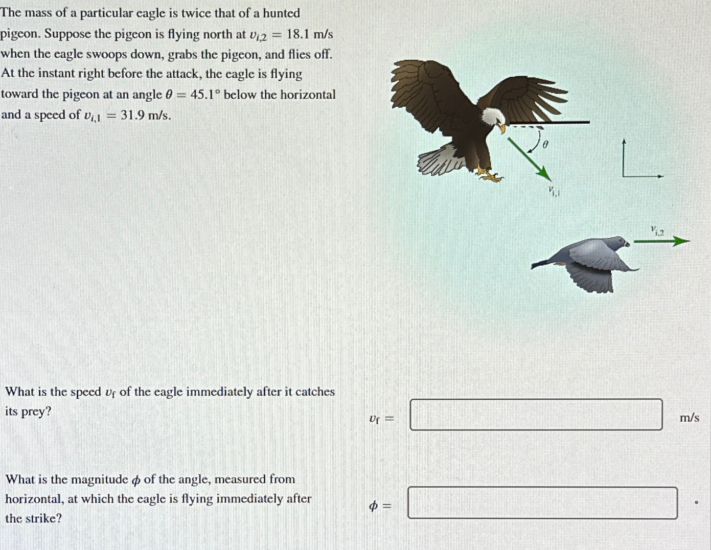 Solved The mass of a particular eagle is twice that of a | Chegg.com