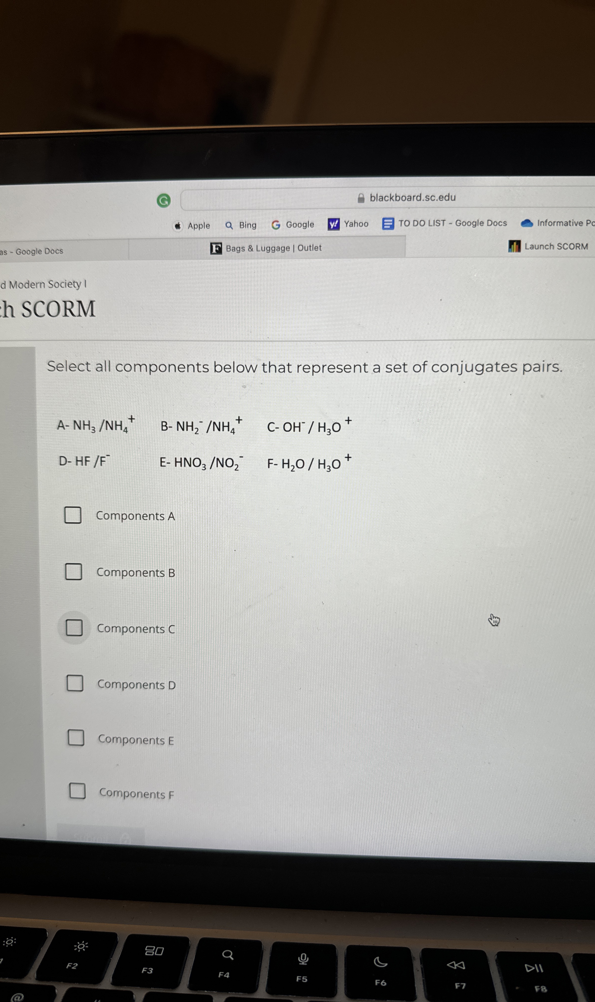 High Quality SOLUTION Gblackboard.sc.eduAppleBingGoogleYahooTO DO LIST ...