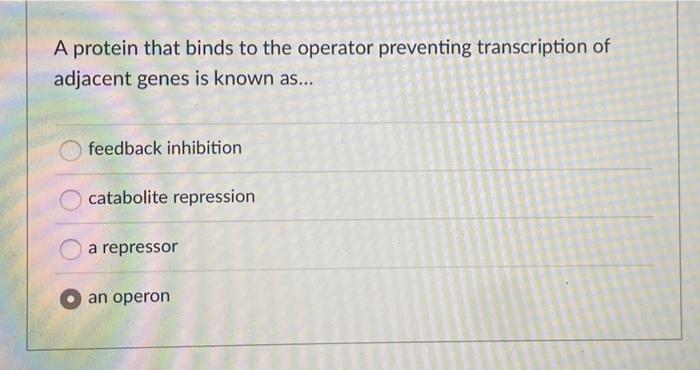 Solved A protein that binds to the operator preventing | Chegg.com