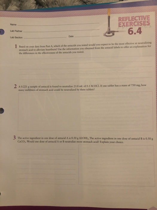 Name REFLECTIVE EXERCISES 6.4 Lab Partner Lab Section | Chegg.com