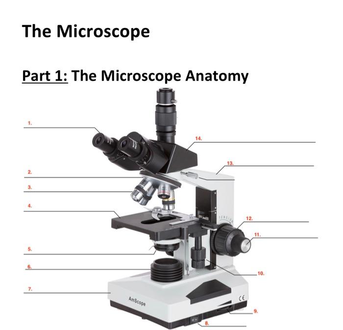 Solved The Microscope (Image modified from | Chegg.com