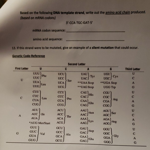 Solved 11. Based On The Following Nucleotide Structure, | Chegg.com