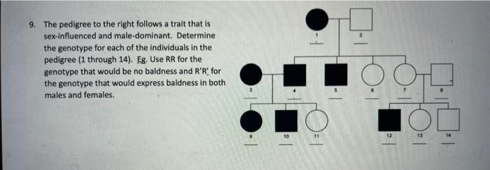 Solved 9. The pedigree to the right follows a trait that is | Chegg.com