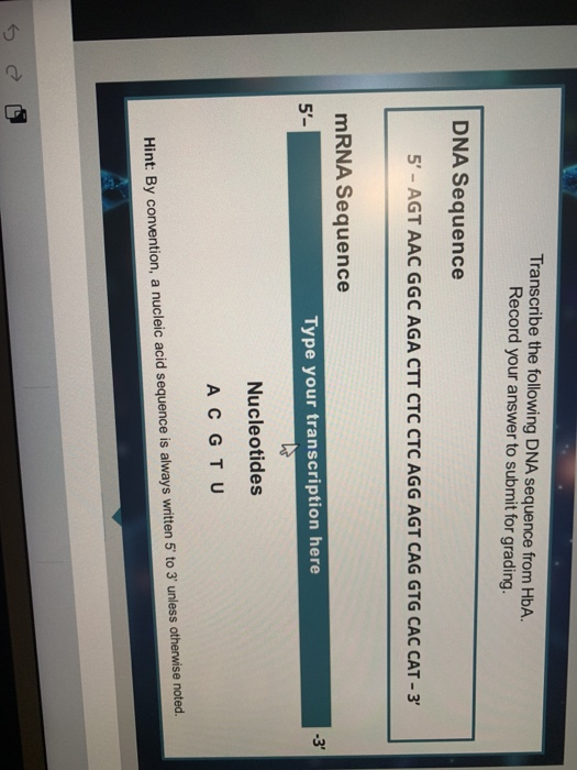 Solved Transcribe The Following DNA Sequence From HbA. | Chegg.com