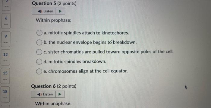 Solved Within prometaphase: a. mitotic spindles attach to | Chegg.com