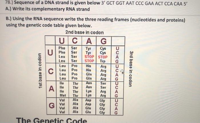 Solved 78.) Sequence of a DNA strand is given below 3' GCT | Chegg.com