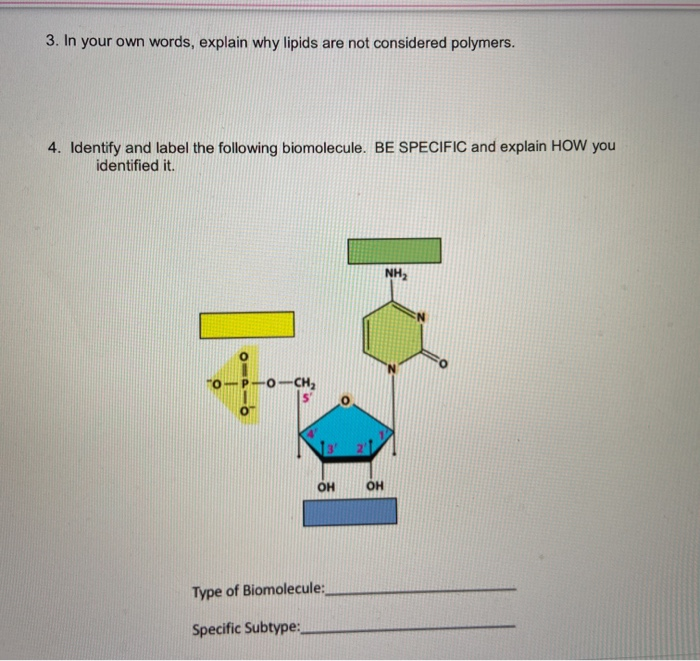 Solved 3. In your own words, explain why lipids are not | Chegg.com