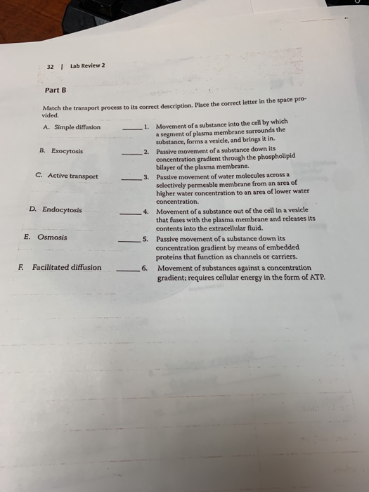 Solved Lab Review 2 Microscope and Cell Structure Review