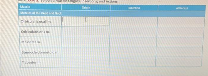 Solved Selected Muscle Origins Insertions and Actions Chegg