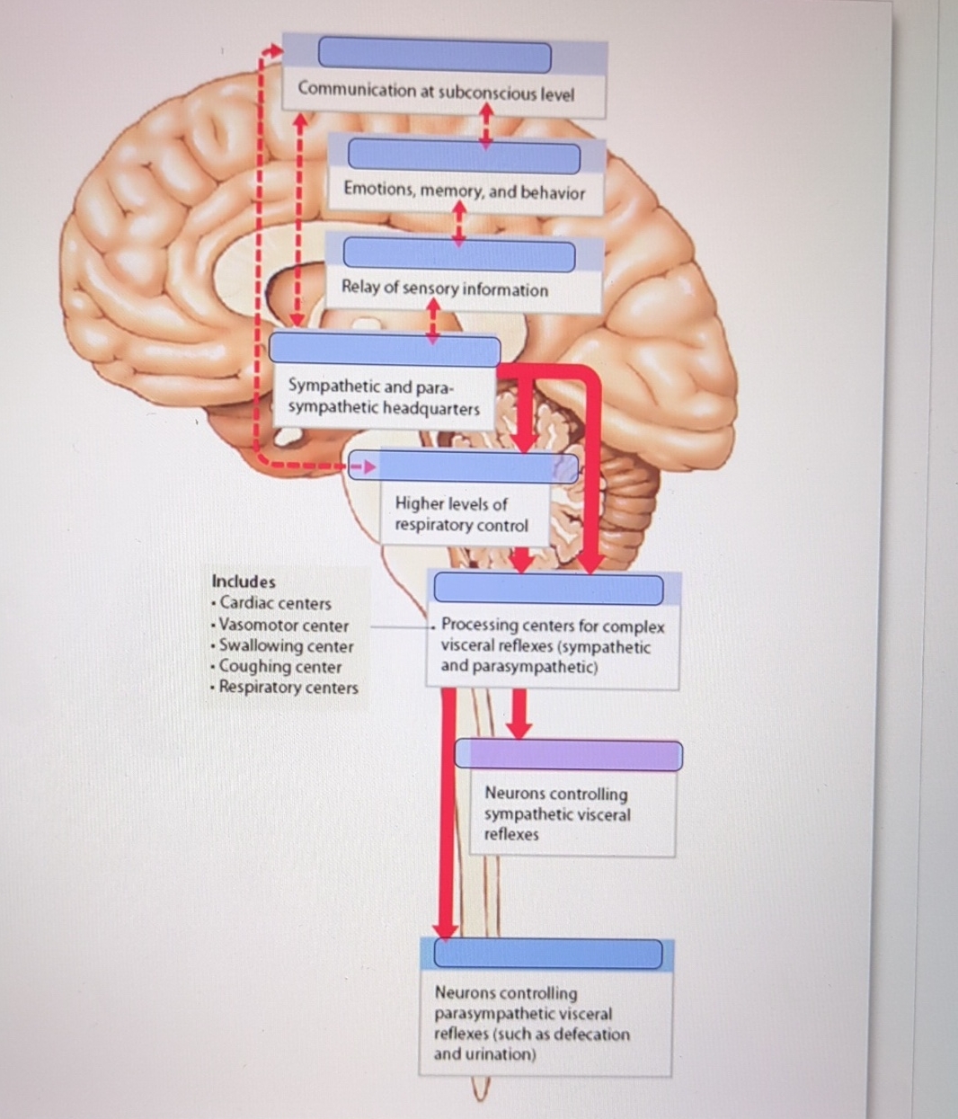 Solved IncludesCommunication at subconscious levelEmotions, | Chegg.com