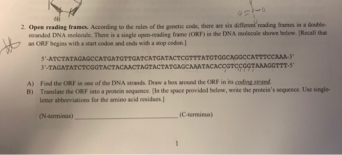 solved-oh-2-open-reading-frames-according-to-the-rules-of-chegg