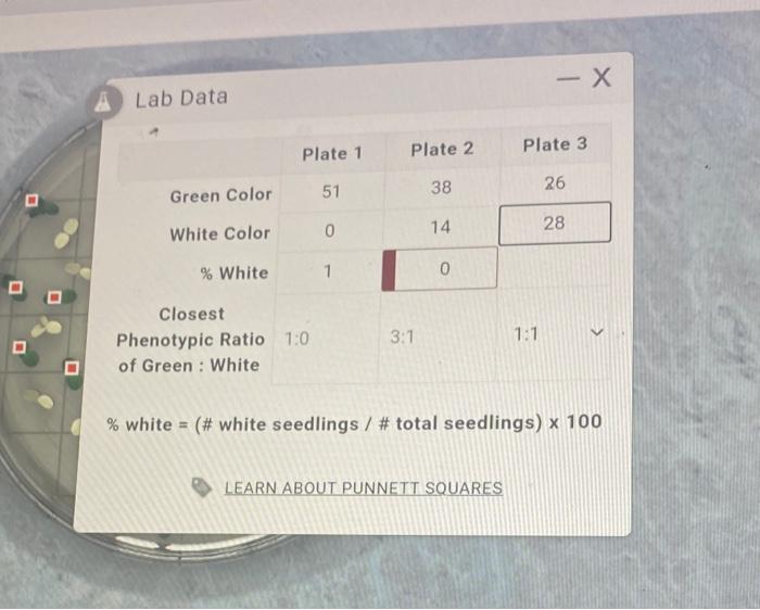 Solved X À Lab Data Plate 1 Plate 2 Plate 3 38 26 51 Green