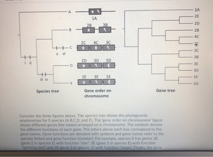 Solved 1A 2B 3B | |-c 2C4C 3C 8 | 8 | | | V VI 2D -D 3D SD | Chegg.com