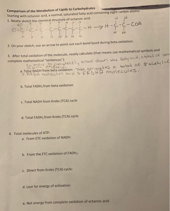 Solved H H 1 Comparison Of The Metabolism Of Lipids To Ca Chegg Com