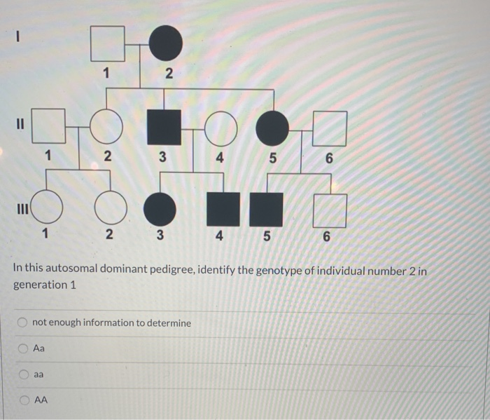 Solved A 5 In this autosomal dominant pedigree, identify the | Chegg.com
