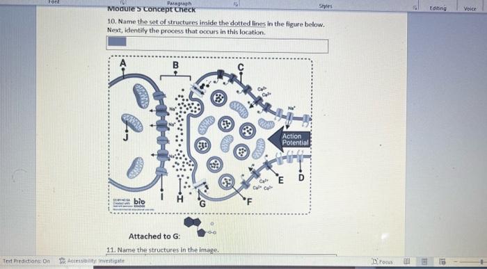 Inside the Lines Test 