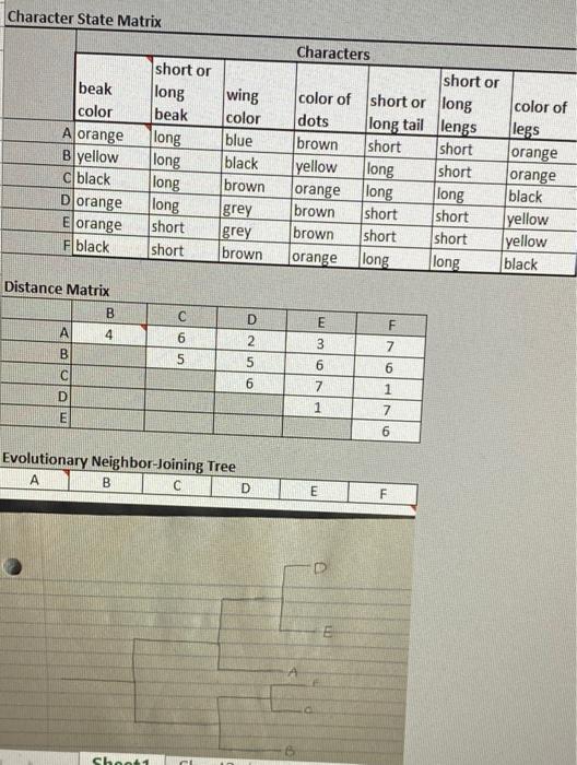 I need help making a character state mapping tree. I | Chegg.com