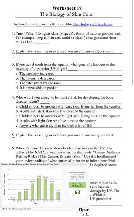 Solved Worksheet 19 The Biology of Skin Color This handout Chegg com