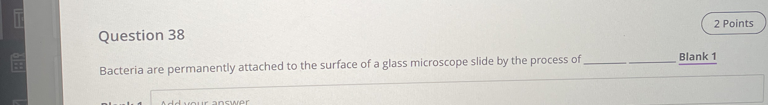 Solved Bacteria are permanently attached to the surface of a | Chegg.com