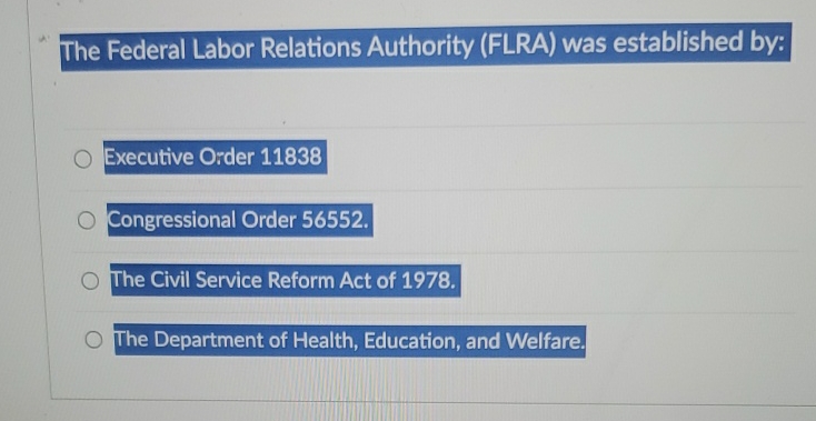 Solved The Federal Labor Relations Authority (FLRA) ﻿was | Chegg.com