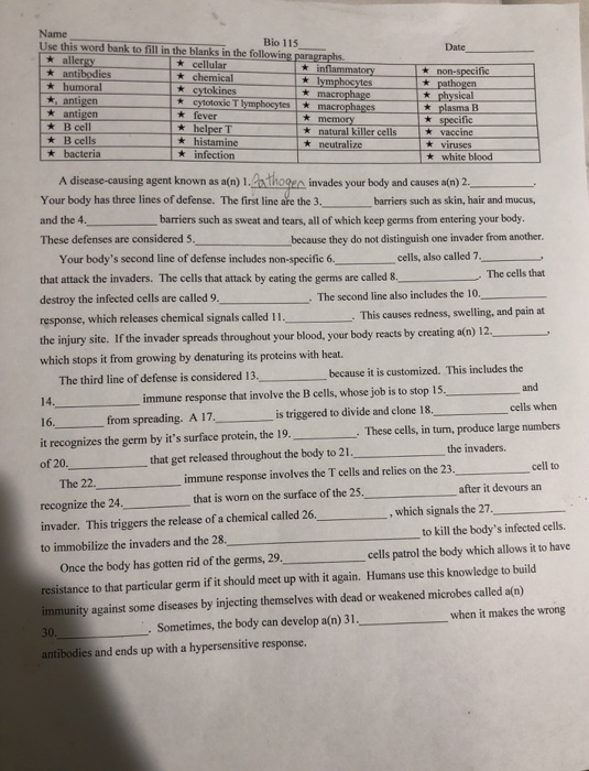 Using The Word Bank Fill In The Blanks On The Chart