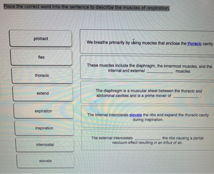 Solved Place the correct word into the sentence to describe