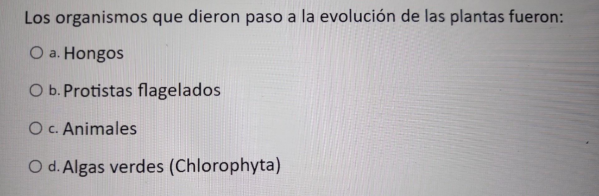 Los organismos que dieron paso a la evolución de las plantas fueron: a. Hongos b. Protistas flagelados c. Animales d. Algas v