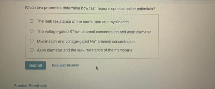 Solved Part A What Triggers Exocytosis Of Synaptic Vesicle | Chegg.com