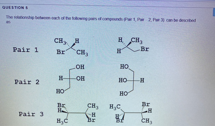Solved QUESTION 5 The relationship between each of the | Chegg.com