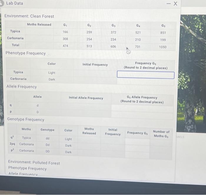 Solved Lab Data Environment: Clean Forest Typica Carbonaria | Chegg.com