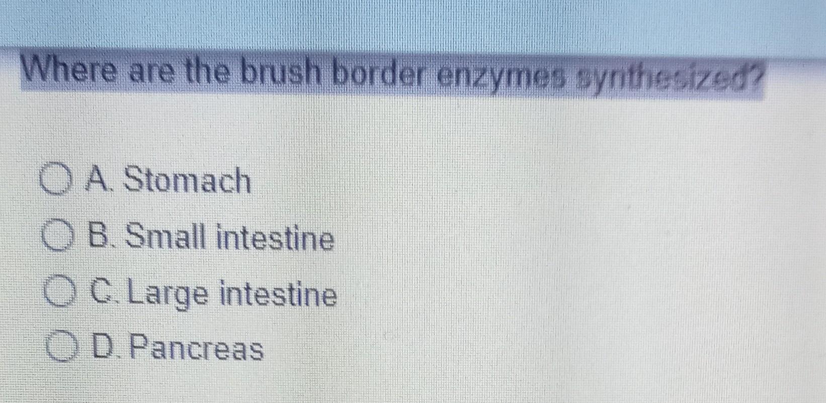 Solved Where are the brush border enzymes synthesized? O A