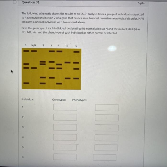 Solved Question 31 6 Pts The Following Schematic Shows The 9829