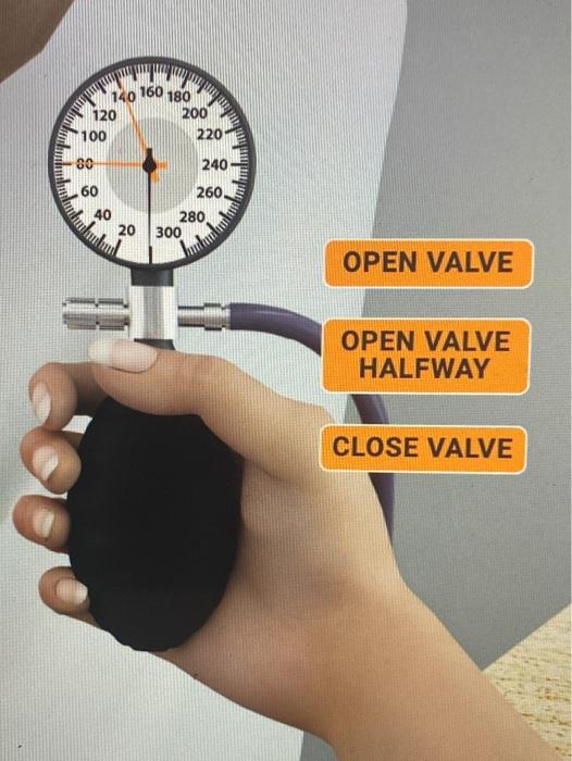 Solved PHASE 5 Measure blood pressure immediately after