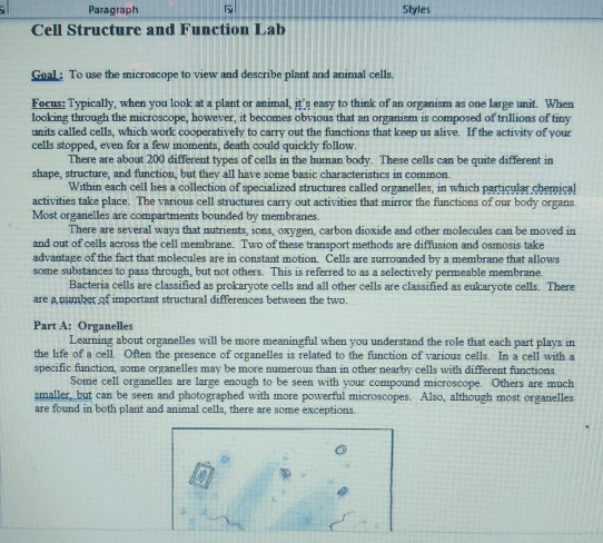 Basic Human Cell Structure And Function