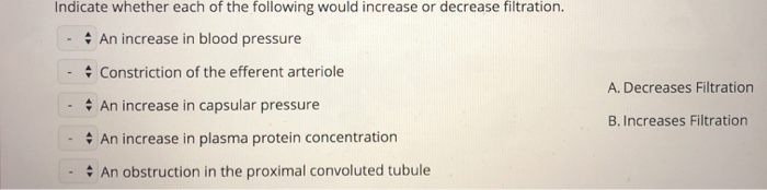 Solved Indicate whether each of the following would increase | Chegg.com