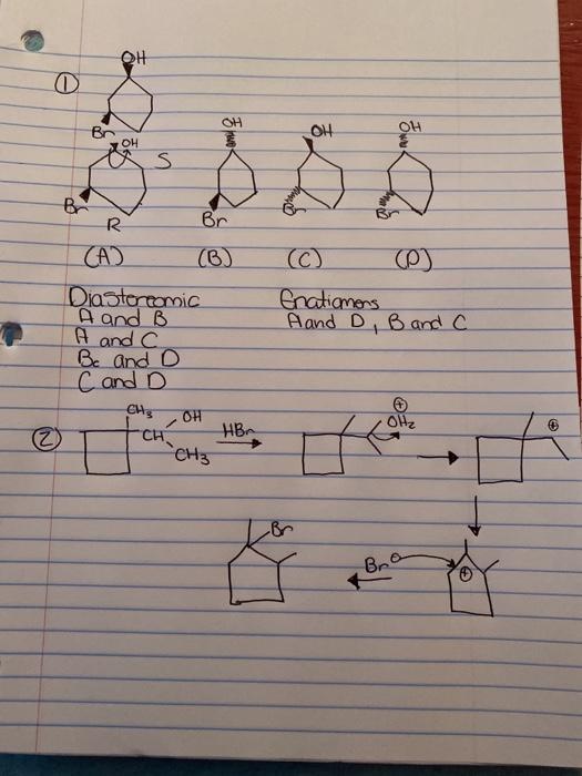 Solved can I get a step by step explanation for these | Chegg.com
