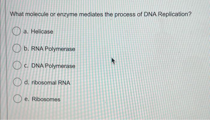 Solved What molecule or enzyme mediates the process of DNA | Chegg.com