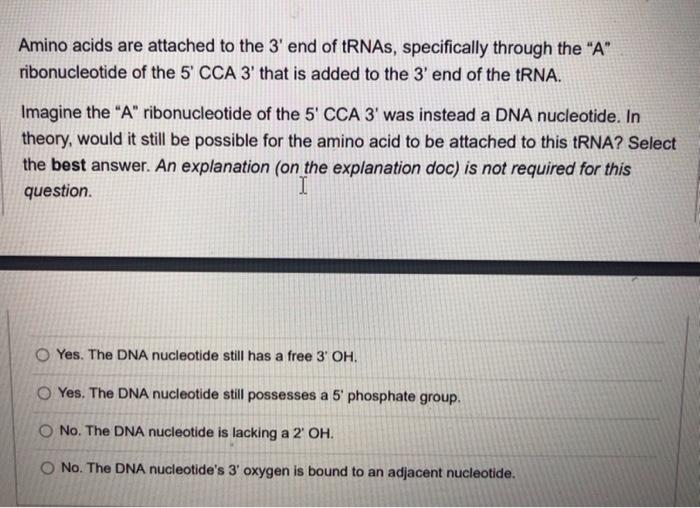Solved Amino acids are attached to the 3' end of tRNAs, | Chegg.com