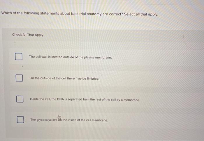 Solved Which Of The Following Statements About Bacterial | Chegg.com