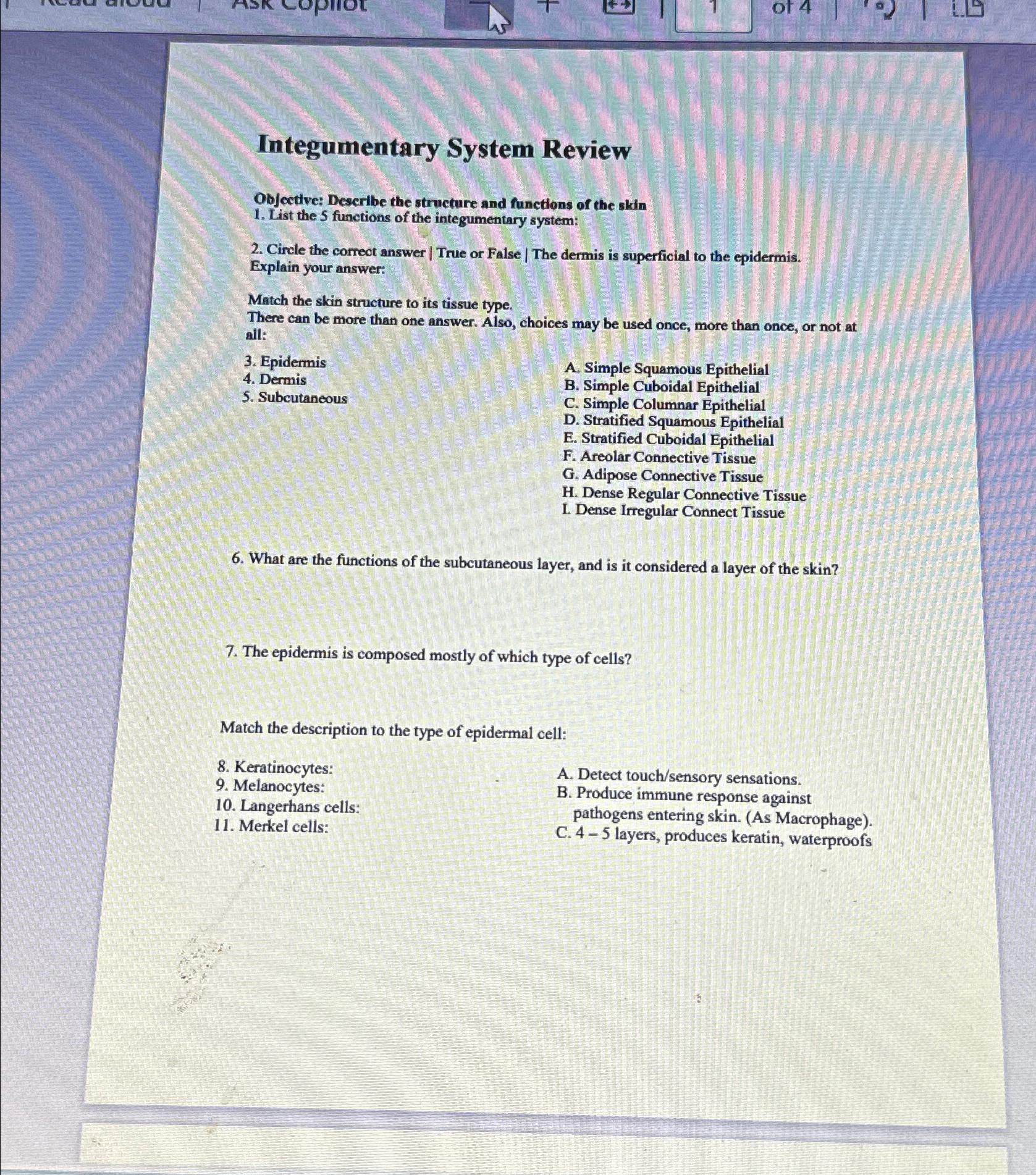 Solved Integumentary System ReviewObjective Describe the