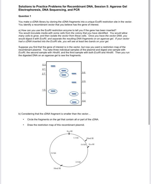 Solved Solutions to Practice Problems for Recombinant DNA, | Chegg.com