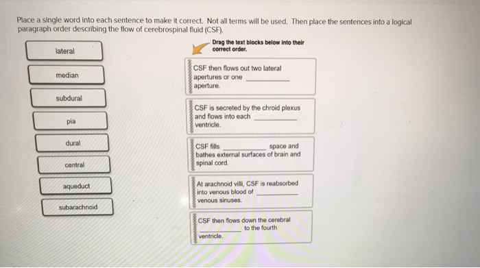 solved-place-a-single-word-into-each-sentence-to-make-it-chegg