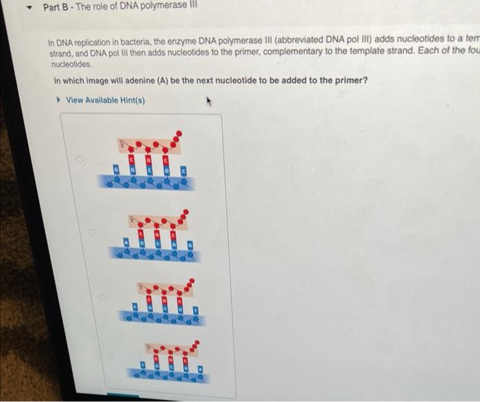 in-dna-replication-in-bacteria-the-enzyme-dna-chegg